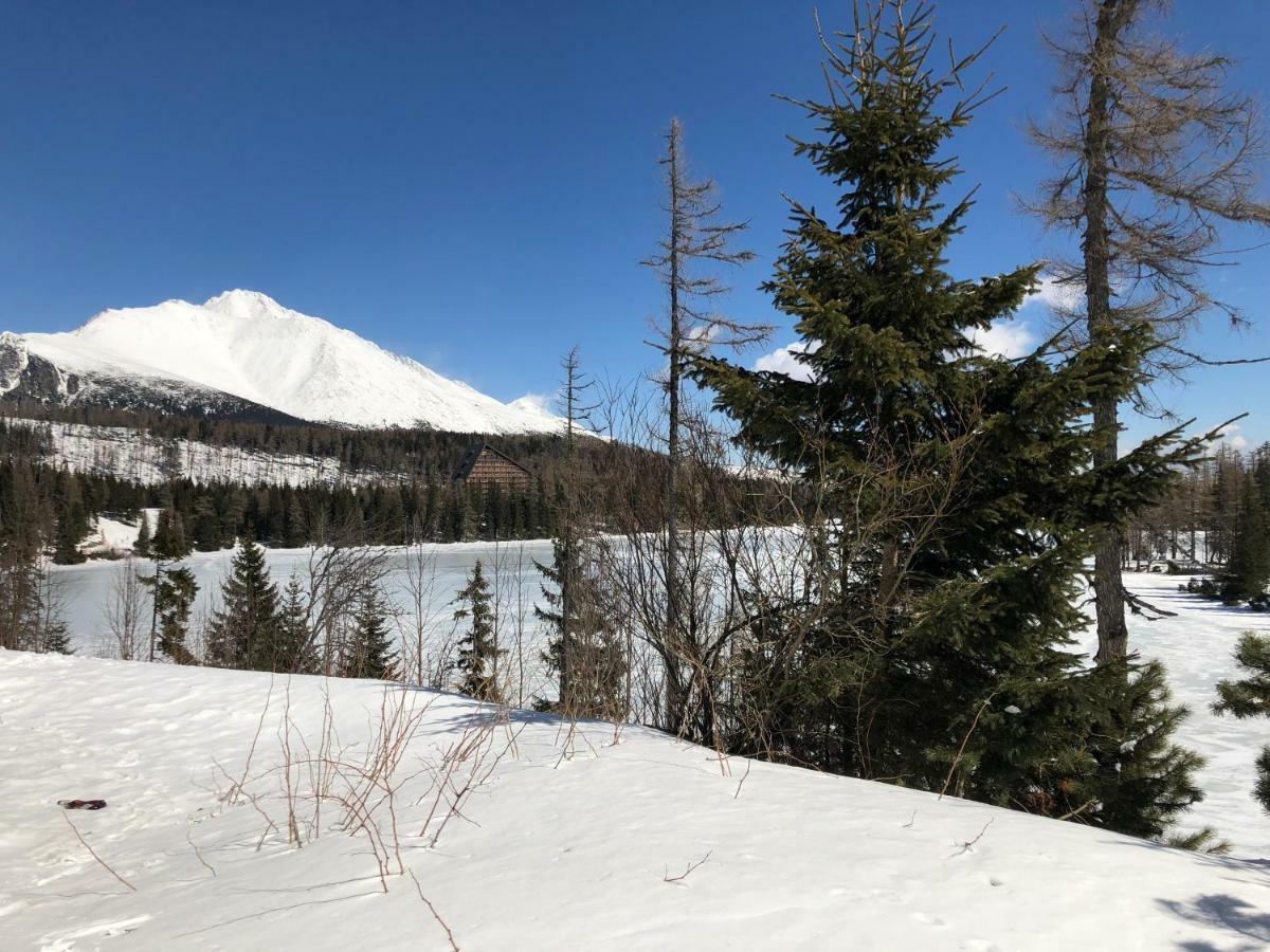Vila Horec, Vysne Hagy Vysoké Tatry Exteriör bild