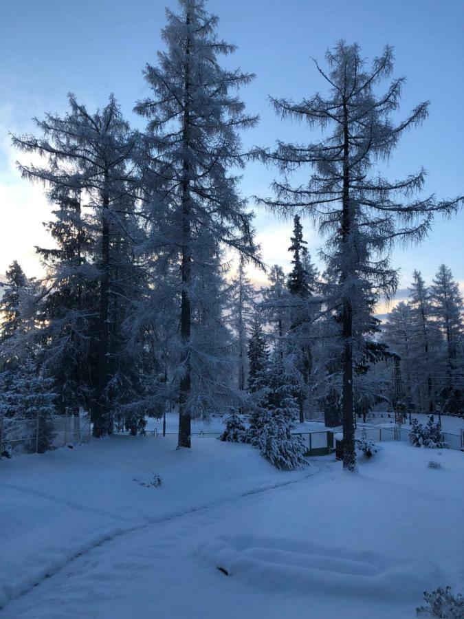 Vila Horec, Vysne Hagy Vysoké Tatry Exteriör bild
